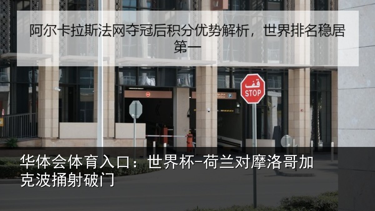 华体会体育入口：世界杯-荷兰对摩洛哥加克波捅射破门