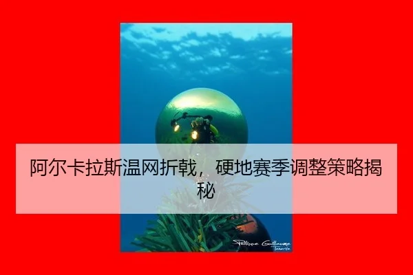 a-er-ka-la-si-wen-wang-zhe-ji-ying-di-sai-ji-tiao-zheng-ce-lve-jie-mi-3-744.jpg